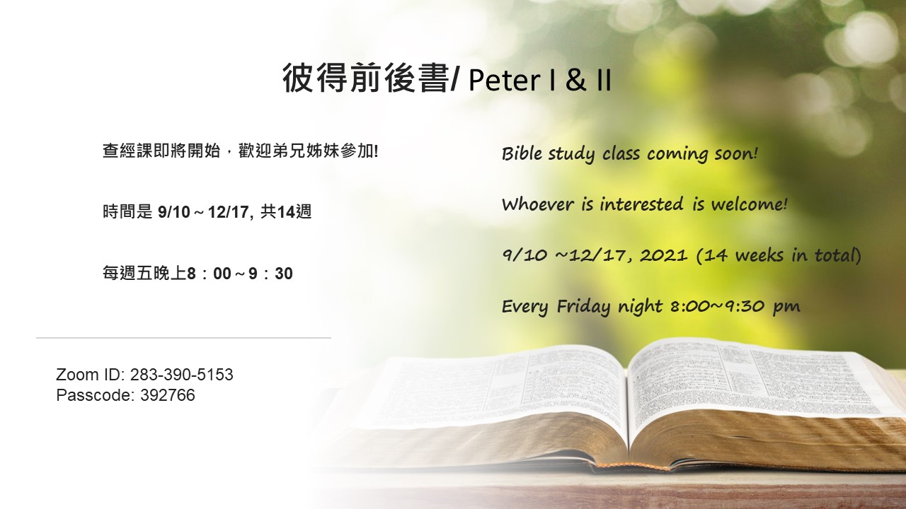 bibleStudy